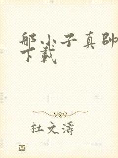 那小子真帅小说下载