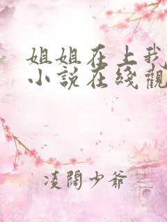 姐姐在上我在下小说在线观看