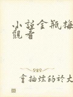 小说金瓶梅在线观看