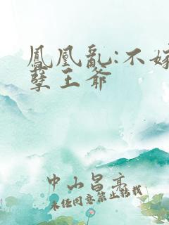 凤凰乱:不嫁妖孽王爷