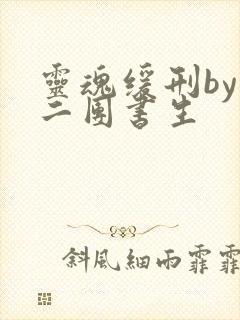 灵魂缓刑by 二团书生