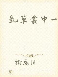 乱草丛中一杆枪