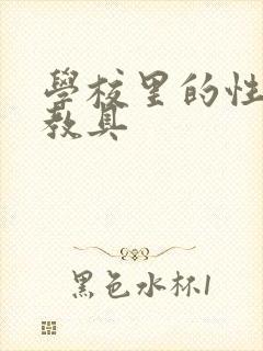 学校里的性教学教具