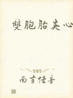 双胞胎夹心运动