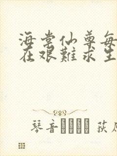 海棠仙尊每天都在艰难求生