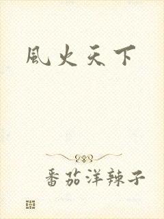 风火天下