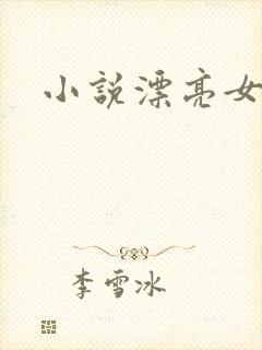 小说漂亮女局长