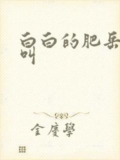 白白的肥岳嗷嗷叫