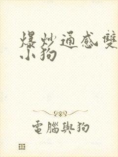 爆炒通感双胞胎小狗