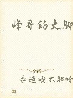 峰哥的大脚