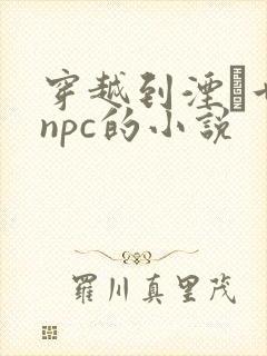 穿越到湮婸世界npc的小说