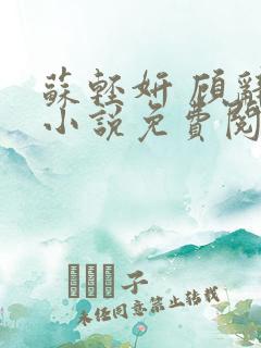 苏轻妍 顾辞笙小说免费阅读