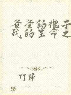 爸爸的棍子顶着我的生命之苏苗