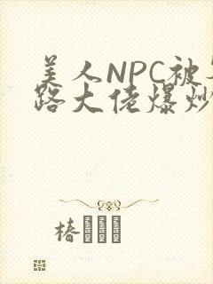 美人NPC被各路大佬爆炒小说