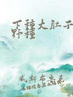 下种大肚子怀孕野种
