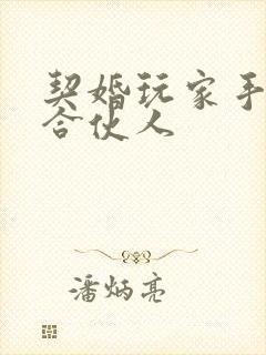 契婚玩家手册之合伙人