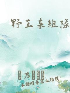 野王来组队小说