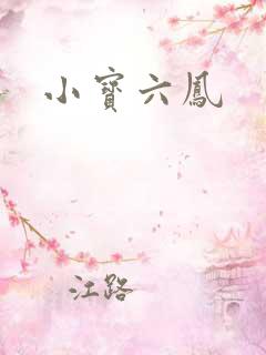小宝六凤