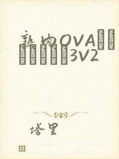 熟肉OVAちゃんはしたい3V2