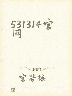 531314官网