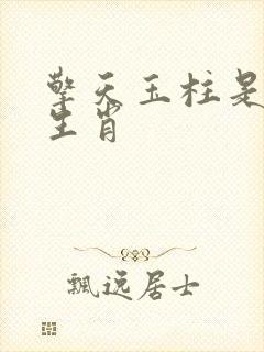 擎天玉柱是什么生肖