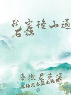 我家后山通仙界石锦