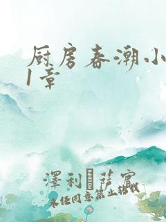 厨房春潮小说第1章