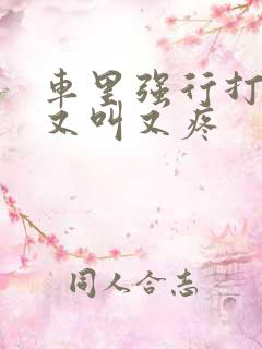 车里强行打扑克又叫又疼