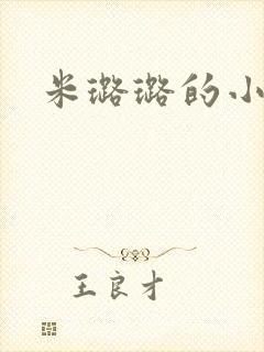 米璐璐的小说
