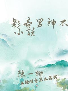 影帝男神不节制 小说