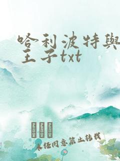 哈利波特与混血王子txt