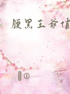 腹黑王爷俏医妃