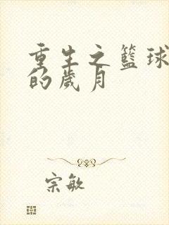 重生之篮球燃烧的岁月