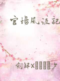 官场风流记