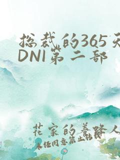 总裁的365天DNI第二部