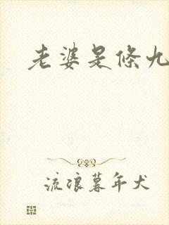 老婆是条九尾狐