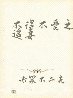 不得不爱之冷少追妻