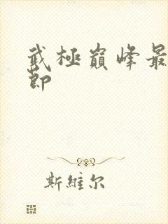 武极巅峰最新章节