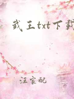武王txt下载