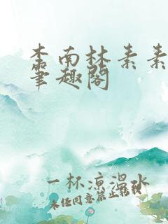 李南林素素小说笔趣阁