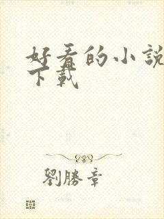 好看的小说打包下载