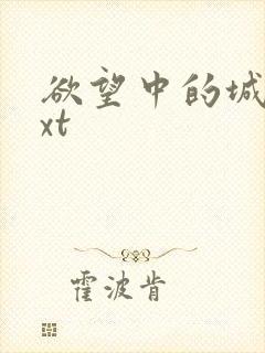 欲望中的城市txt