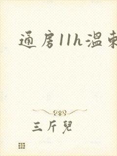 通房11h温东