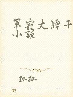 军宠大牌千金 小说