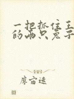 一把抓住王昭君的两只兔子