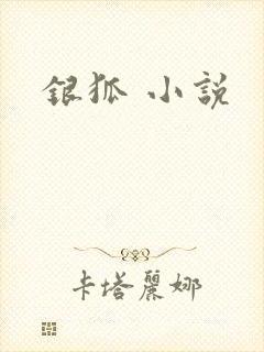 银狐 小说