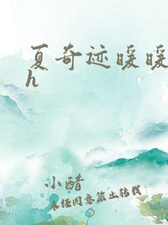 夏奇迹暖暖快穿h