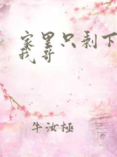 家里只剩下我和我哥