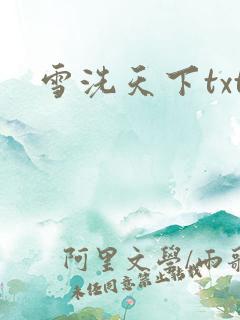 雪洗天下txt