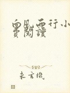 向风而行小说免费阅读